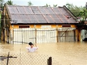 Bóng đá anh, ngoại hạng anh, lịch thi đấu euro 2012, LHQ: Biến đổi khí hậu đe dọa dân ở đô thị châu Á 